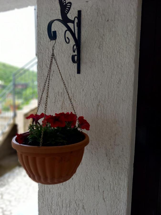 Apartment Ivana Senj  Bagian luar foto